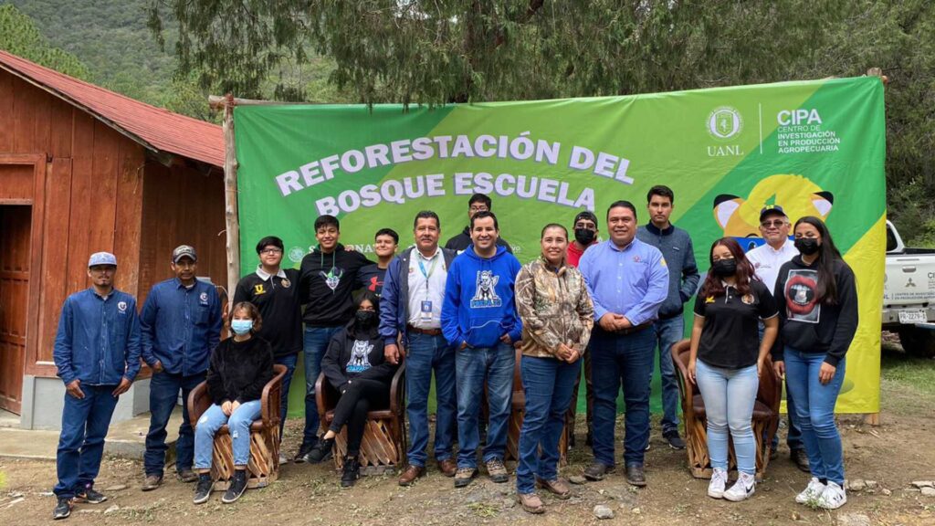 Programa de reforestación