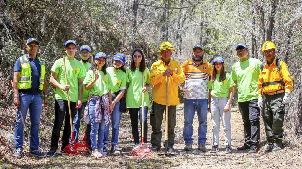 Conservación forestal